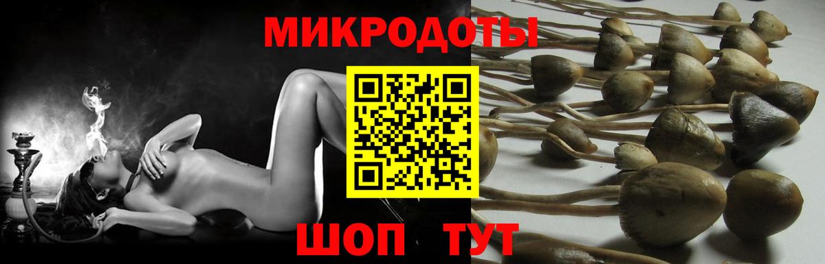 Рузаевка  Галлюциногенные грибы ЛСД  Вход с VPN 